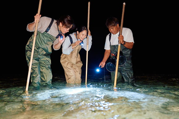 A Yoron Island Style "Izari" Night Reef Walk Tour