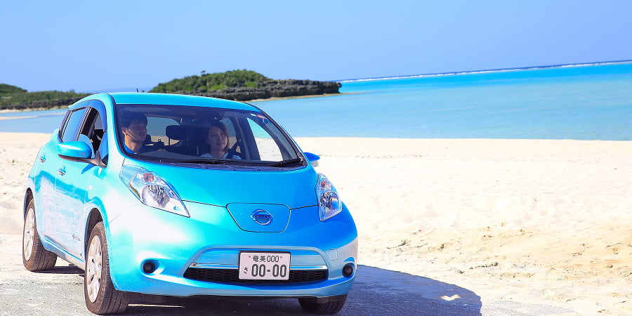 Tour guided by a private driver