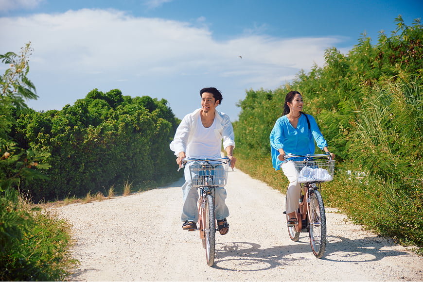 Rental Car / Rental Bicycle