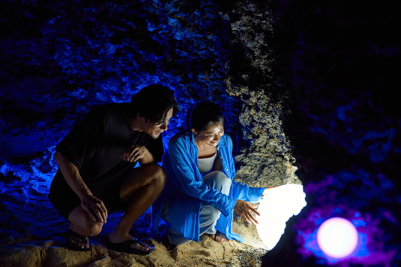 プレミアムナイトツアー